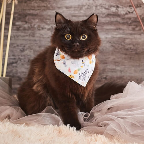 Zvířecí šátek pro sublimaci
