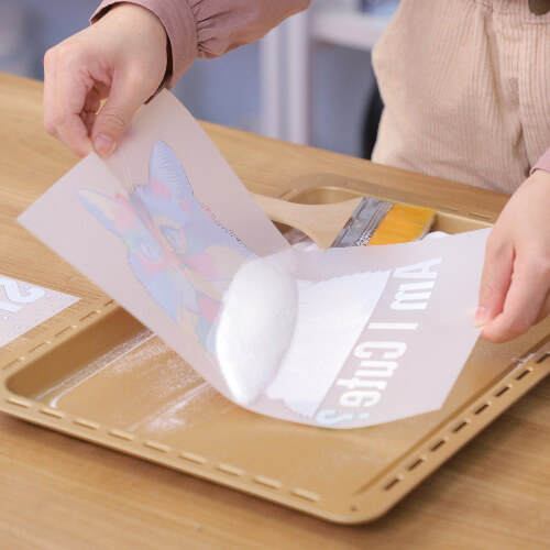 Prášek DTF 1 kg (BestSub) - AKCE