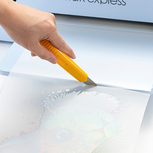 Tisková fólie DTF 30 cm x 100 m COLD PEEL