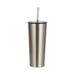 Termohrnek z nerezové oceli o objemu 650 ml se sublimačním brčkem - stříbrný